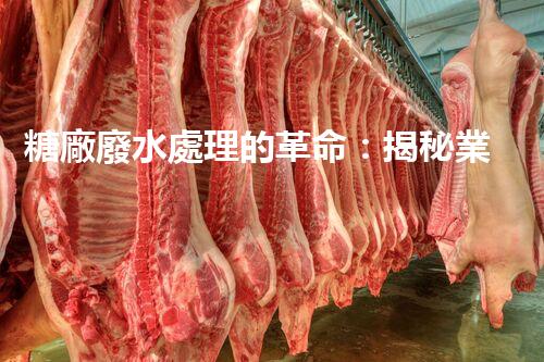 糖廠廢水處理的革命：揭秘業(yè)內(nèi)獨特技術和方法！